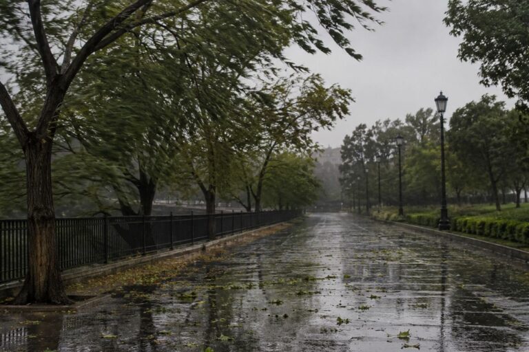 झारखंड में गरजेंगे बादल, बारिश के साथ 50 किमी प्रति घंटे की रफ्तार से तेज हवा चलने की संभावना