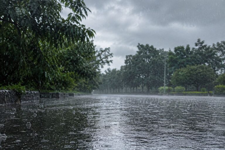 झारखंड में 21 जून को बारिश के आसार, 26 तक आंधी-वज्रपात का अलर्ट 