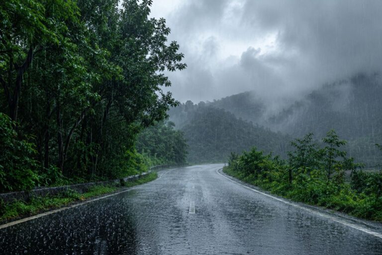 झारखंड के कई जिलों में 30 जून और 1 जुलाई को होगी झमाझम बारिश, मौसम विभाग ने जारी किया अलर्ट 
