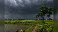 जहानाबाद में में झमाझम बारिश से बदला मौसम, भीषण गर्मी से मिली राहत, धान की रोपाई को मिला संजीवनी