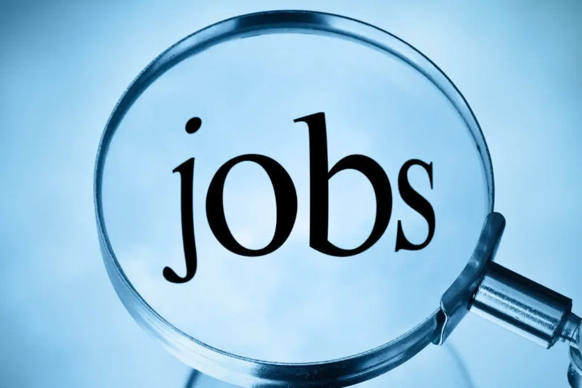 Clerk Job