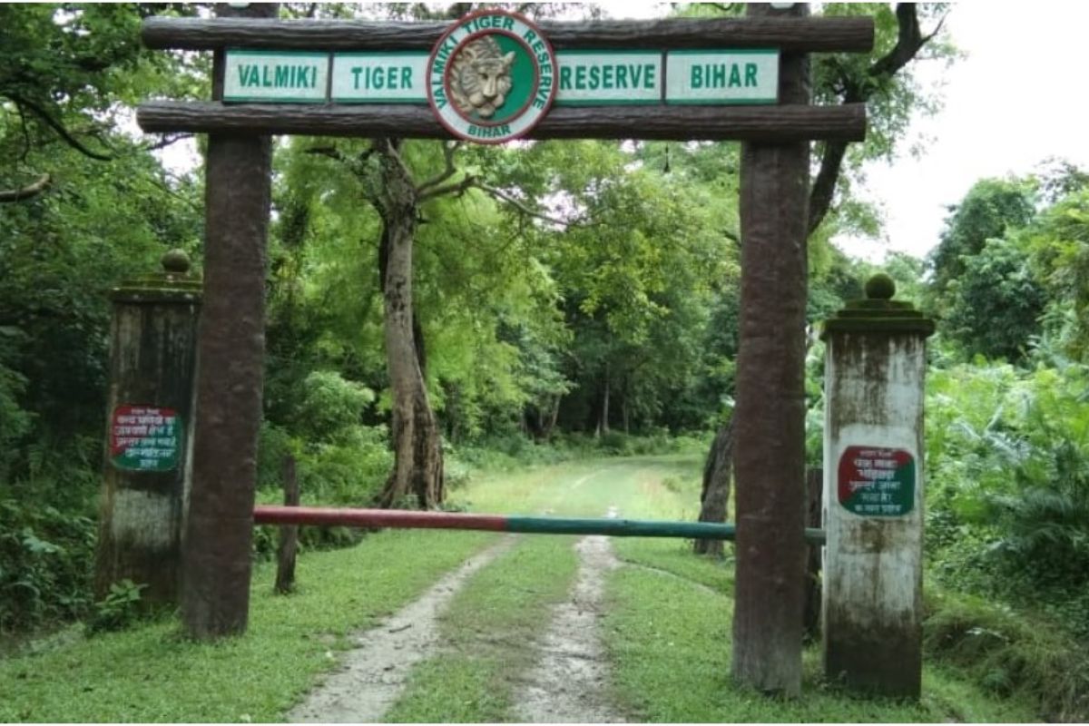 केरल जैसी वादियां, उत्तराखंड जैसे झरने और जंगल सफारी का रोमांच, गर्मी की छुट्टियों में घूम आइए बिहार की ये 5 शानदार जगहें 5 Valmiki Tiger Reserve