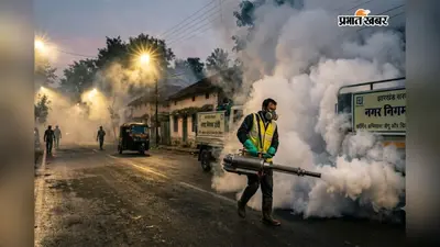 झारखंड में डेंगू-चिकनगुनिया पर स्वास्थ्य विभाग का 'स्ट्राइक': ACS का आदेश- बस्तियों में घुसकर मारो मच्छरों का लार्वा