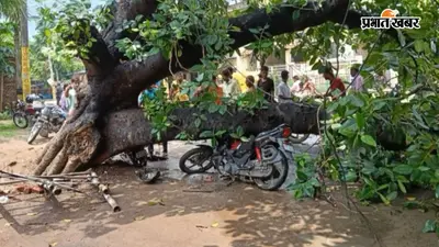 गया-पटना मुख्य मार्ग पर गिरा विशाल बरगद का पेड़, दो बाइक क्षतिग्रस्त, बड़ा हादसा टला