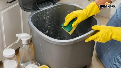 सिर्फ 10 मिनट में साफ होगा गंदा डस्टबिन, अपनाएं ये आसान घरेलू टिप्स