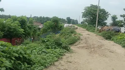 महानंदा नदी का पूर्वी तटबंध जर्जर: कलदासपुर से दरियापुर तक 3 फीट तक कटी मिट्टी