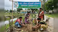लखीसराय में हरियाली का मेगा प्लान तैयार, 1.60 लाख पौधे लगेंगे, जीविका दीदियों को मिली बड़ी जिम्मेदारी