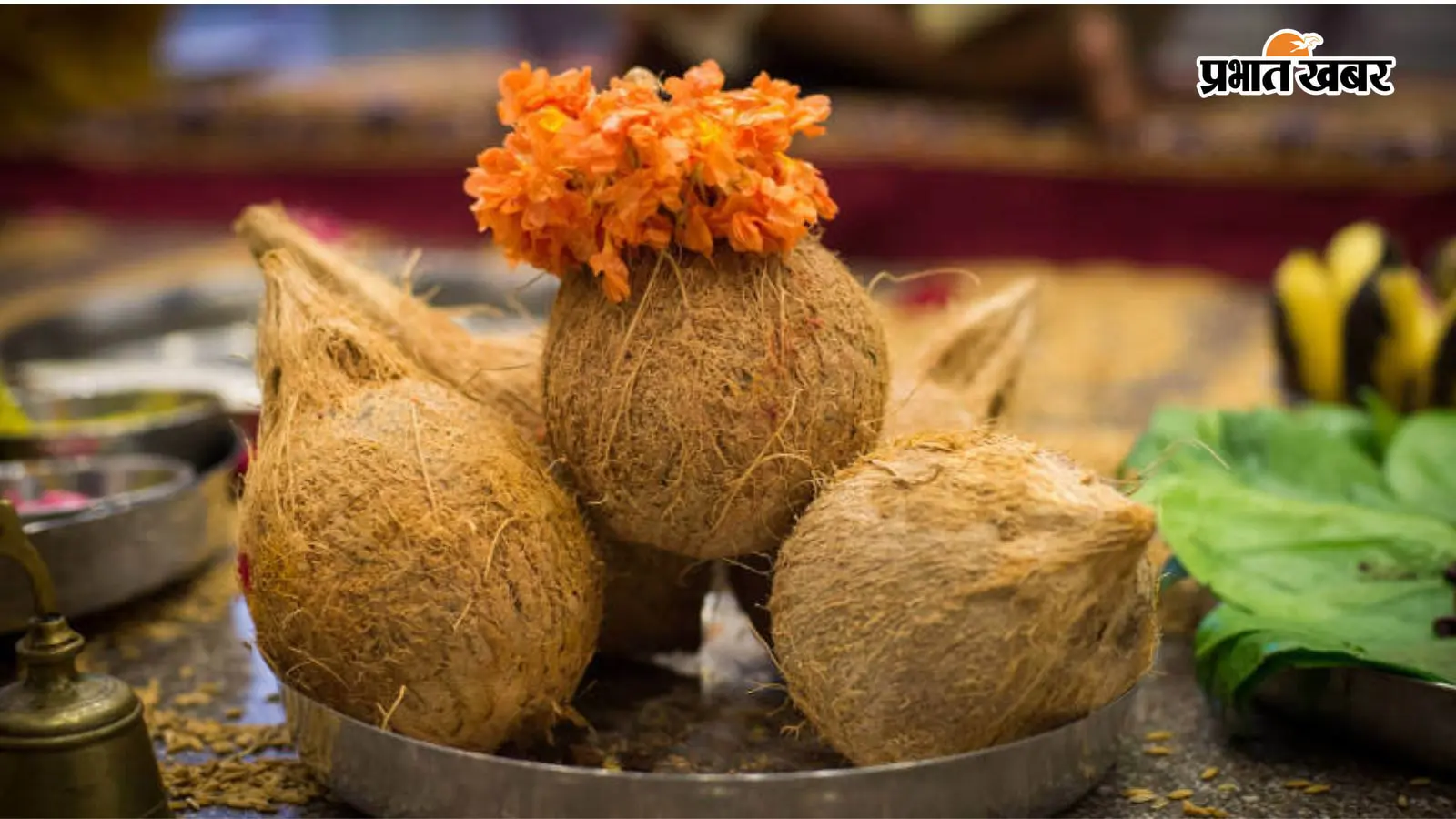एकाक्षी नारियल से शुक्रवार को करें ये उपाय एकाक्षी नारियल से शुक्रवार को करें ये उपाय