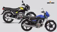 Hero Splendor Plus या TVS Radeon? कम बजट में कौन सी बाइक है ज्यादा समझदारी का सौदा, जानिए पूरी तुलना