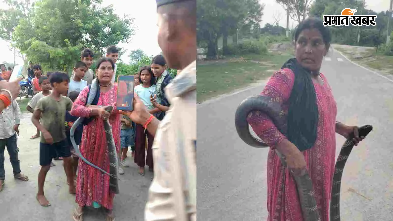 बगहा: कोबरा रेस्क्यू में महिला घायल, जान पर खेल कर बचाई जान बगहा: कोबरा रेस्क्यू में महिला घायल, जान पर खेल कर बचाई जान