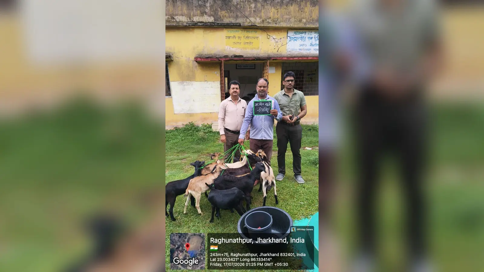 बकरी वितरण करते | Prabhat Khabar Network बकरी वितरण करते | Prabhat Khabar Network