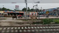 रेल यात्रियों के लिए राहत की खबर, नरकटियागंज होकर चलने वाली स्पेशल ट्रेनों की बढ़ी अवधि; जानें नया शेड्यूल