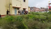 साहिबगंज कॉलेज परिसर जंगल-झाड़ में तब्दील