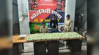 कैमूर: मोहनिया में घर से 4.68 लाख कैश और 35 लीटर देसी शराब बरामद, एक गिरफ्तार