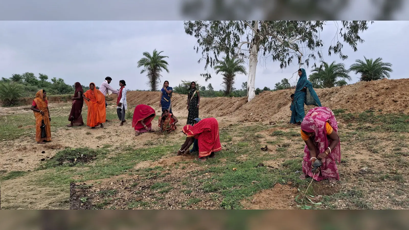 फोटो कैप्शन :पौधारोपण करती महिलाएं और पौधा रोपण के बाद की सांकेतिक तस्वीर | Prabhat Khabar Network फोटो कैप्शन :पौधारोपण करती महिलाएं और पौधा रोपण के बाद की सांकेतिक तस्वीर | Prabhat Khabar Network