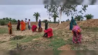 बांका में किसानों के लिए कृषि वानिकी योजना शुरू: हर पौधे पर मिलेंगे ₹70 वापस, 31 जुलाई तक आवेदन का मौका