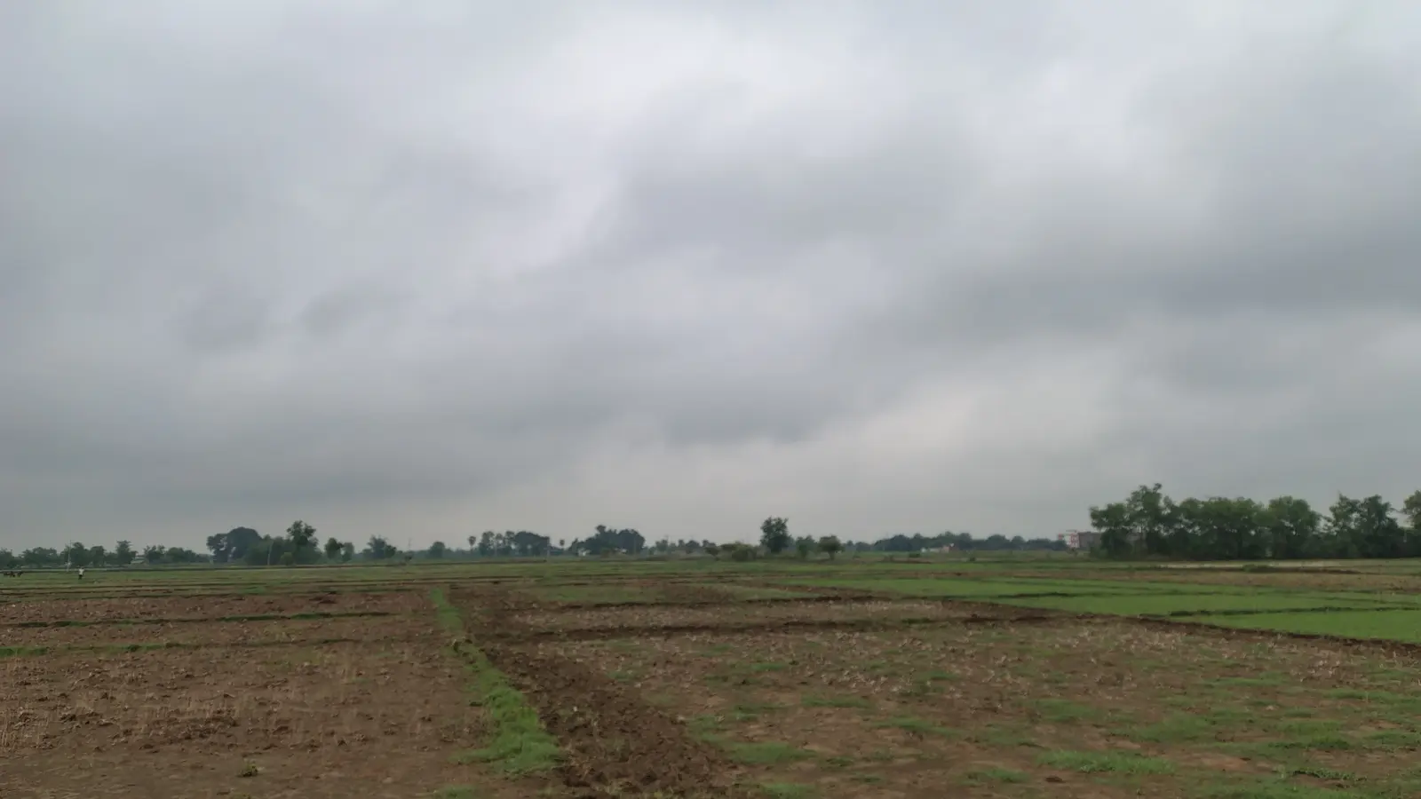 बूंदाबांदी बारिश होने पर खेतों में बनी नामी एवं आसमान में उमड़ रहा बादल | Prabhat Khabar Network बूंदाबांदी बारिश होने पर खेतों में बनी नामी एवं आसमान में उमड़ रहा बादल | Prabhat Khabar Network