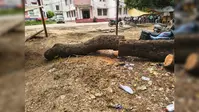 आरा: समाहरणालय परिसर में लगा कूड़े का अंबार, बार-बार शिकायत के बावजूद नहीं हो रही कार्रवाई, सफाई के नाम पर बांट रहे राशि