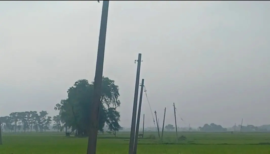 कटियारा गांव के बधार में बिजली पोल से गायब तार | Prabhat Khabar Network कटियारा गांव के बधार में बिजली पोल से गायब तार | Prabhat Khabar Network