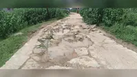 चक्रधरपुर के वार्ड संख्या-3 स्थित केनाल रोड की हालत बदहाल, सड़क पर बने बड़े-बड़े गड्ढे