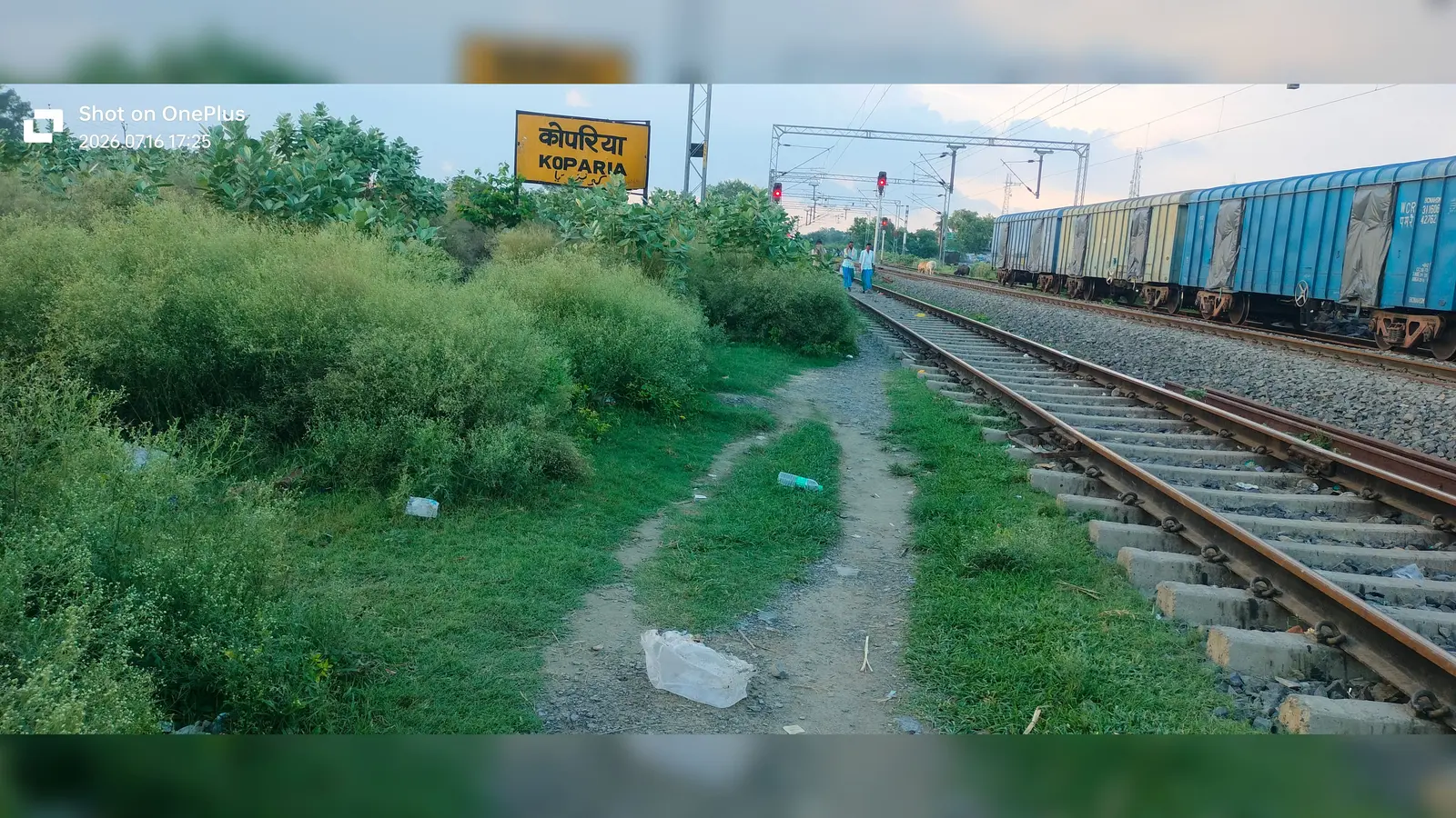 फोटो - सलखुआ,सहरसा - कपाड़िया स्टेशन पर उगे घास पौधे स्टेशन का मुआयना करते संसद प्रतिनिधि | Prabhat Khabar Network फोटो - सलखुआ,सहरसा - कपाड़िया स्टेशन पर उगे घास पौधे स्टेशन का मुआयना करते संसद प्रतिनिधि | Prabhat Khabar Network