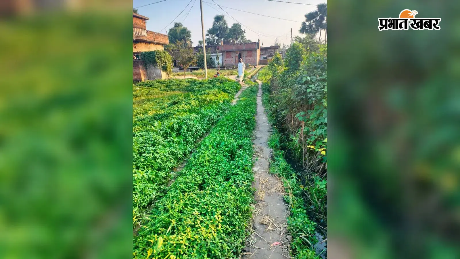 मेसकौर प्रखंड में बिना काम कराए निकाली गई राशि,तत्कालीन पीओ और अभियंता समेत 5 पर गिरी गाज मेसकौर प्रखंड में बिना काम कराए निकाली गई राशि,तत्कालीन पीओ और अभियंता समेत 5 पर गिरी गाज