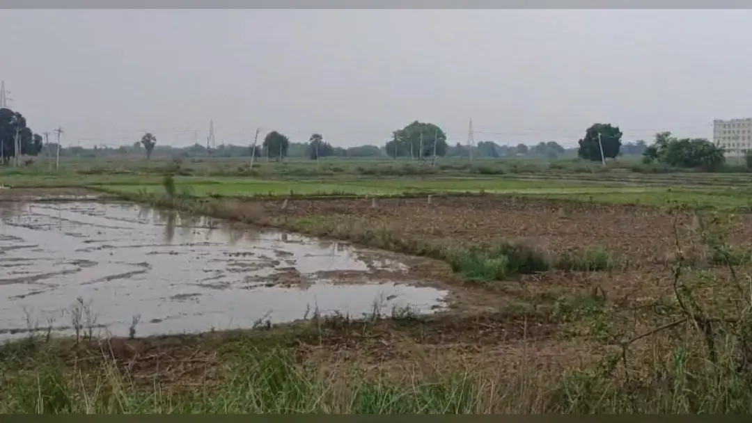 चार कट्ठा जमीन पर खूनी संघर्ष टला, दो पक्षों में ताबड़तोड़ फायरिंग से दहला गांव. पुलिस ने चार को दबोचा, एफएसएल जुटा रही साक्ष्य. | Prabhat Khabar Network चार कट्ठा जमीन पर खूनी संघर्ष टला, दो पक्षों में ताबड़तोड़ फायरिंग से दहला गांव. पुलिस ने चार को दबोचा, एफएसएल जुटा रही साक्ष्य. | Prabhat Khabar Network