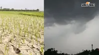 गया जी : बारिश नहीं होने से परैया में सूखे जैसे हालात, कृषक संघ ने सूखाग्रस्त घोषित करने की मांग की