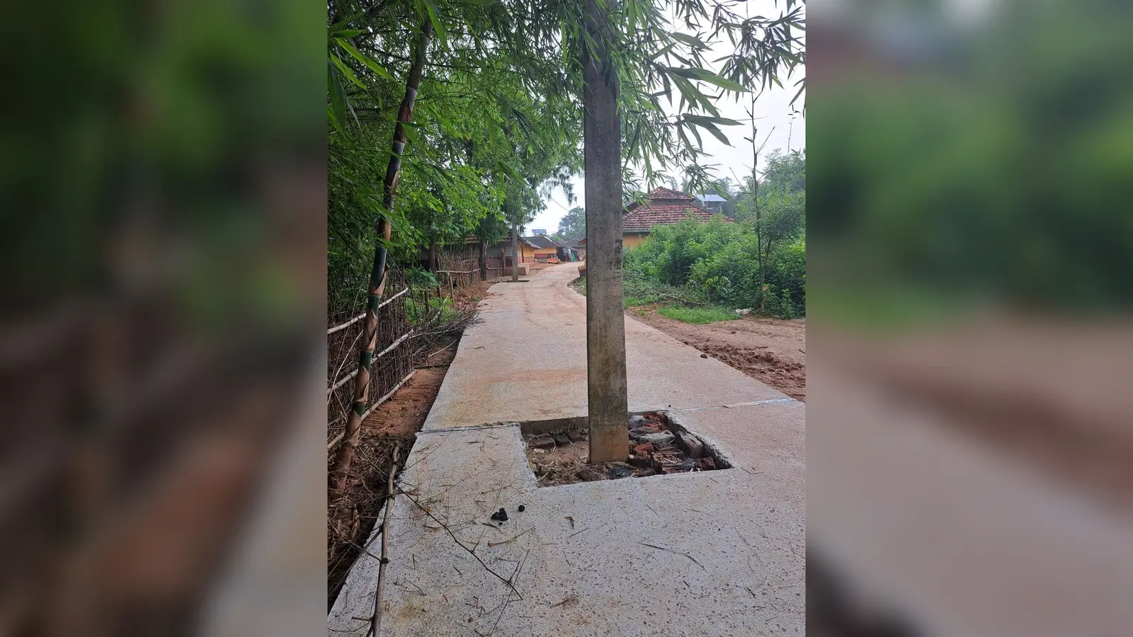 फोटो : केरूकोच मुखिया टोला में सड़क बन कर तैयार बीच में खड़े हैं बिजली के खंभे | Prabhat Khabar Network फोटो : केरूकोच मुखिया टोला में सड़क बन कर तैयार बीच में खड़े हैं बिजली के खंभे | Prabhat Khabar Network