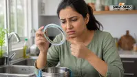 टिफिन की रबर सील पर जम गई है काली परत? इन आसान तरीकों से करें सफाई