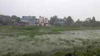 किशनगंज में मूसलाधार बारिश से 'फ्लैश फ्लड' का खतरा: नेपाल और बंगाल के पानी से उफान पर नदियां