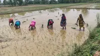 औरंगाबाद में आषाढ़ की फुहार में खो गई बारहमासा की धुन, आधुनिकता की मार से विलुप्त हो रही गांवों की लोक परंपरा