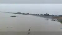 इस्माईलपुर-बिंदटोली में 24 घंटे में 23 सेमी बढ़ा गंगा का जलस्तर, फिर भी सुरक्षित हैं तटबंध, बढ़ाई गई निगरानी