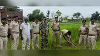 एसएसबी और पुलिस ने चलाया वृक्षारोपण अभियान, लिया पौधों की देखभाल का संकल्प