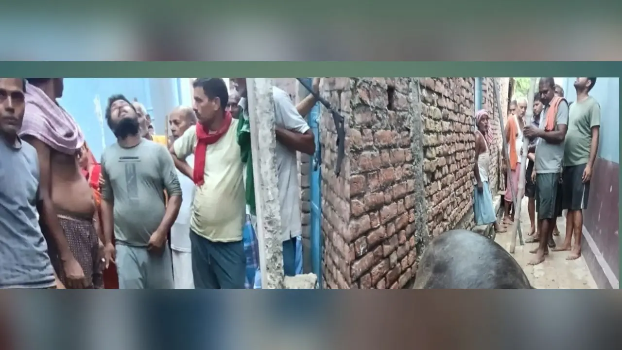 बिजली के खंभे में उतरे करंट की चपेट में आने से भैंस की मौत, पीड़ित किसान ने विभाग से की मुआवजे की मांग | Prabhat Khabar Network बिजली के खंभे में उतरे करंट की चपेट में आने से भैंस की मौत, पीड़ित किसान ने विभाग से की मुआवजे की मांग | Prabhat Khabar Network