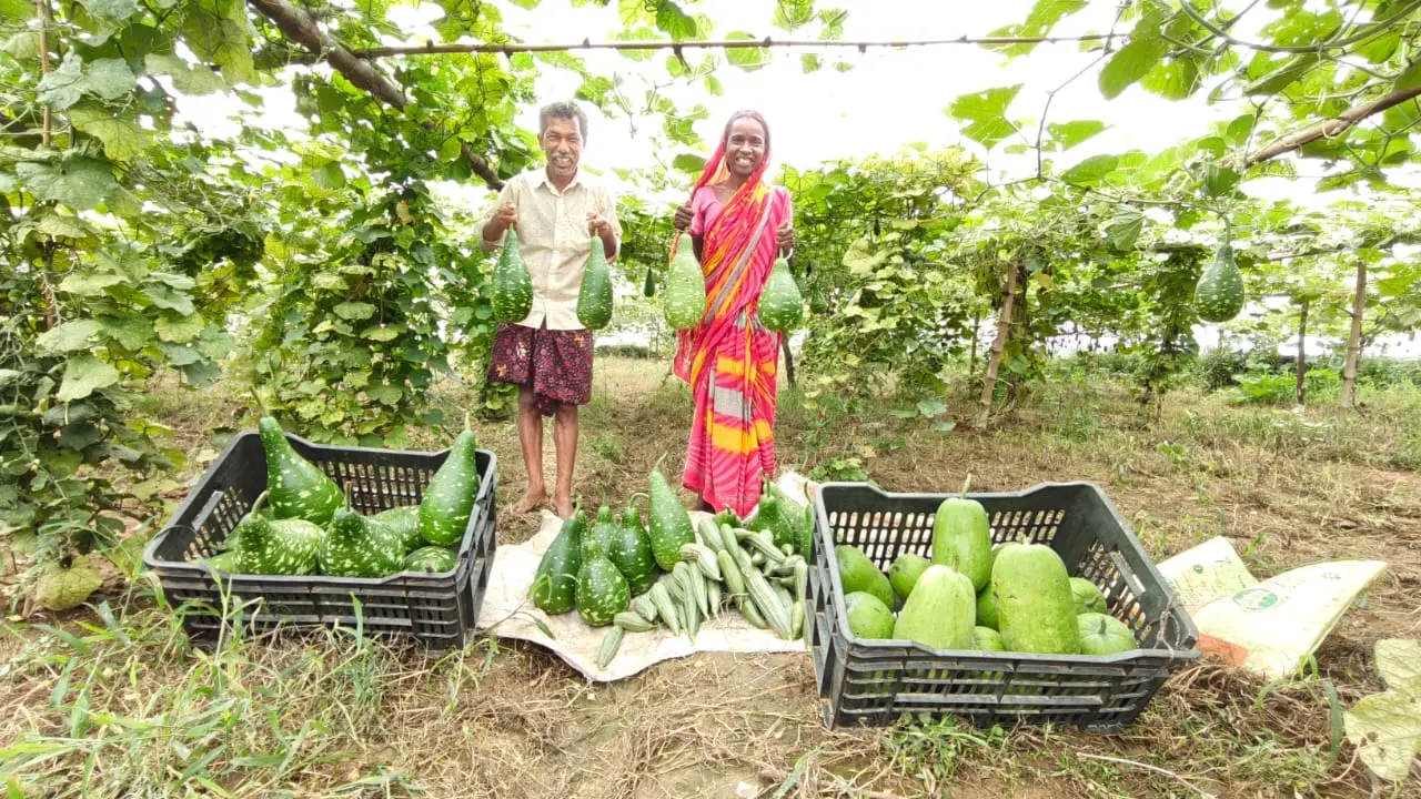 अपने पति के साथ खेत की फसल को दिखाती अर्चना पहाड़िन | Prabhat Khabar Network अपने पति के साथ खेत की फसल को दिखाती अर्चना पहाड़िन | Prabhat Khabar Network