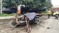 सारण के रसूलपुर में अज्ञात वाहन की टक्कर से ठेला चालक की दर्दनाक मौत, आरोपी चालक फरार