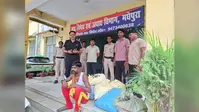 Drug Bust: सिंहेश्वर मंदिर के पास 1750 पीस प्रतिबंधित कोरेक्स सिरप बरामद, एक गिरफ्तार, नेटवर्क की जांच तेज