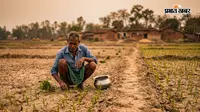 झारखंड में बारिश का संकट गहराया, सामान्य से 38% कम वर्षा; सिर्फ 18% क्षेत्र में हुई फसल