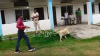 कुक की हत्या में इस्तेमाल हथियार बरामद, अपराधियों को पकड़ने के लिए कई टीमें गठित