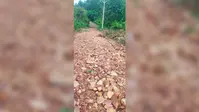 छोटाबोतला से माड़ोतोलिया  तक सड़क बनी जानलेवा, पैदल चलना भी मुश्किल