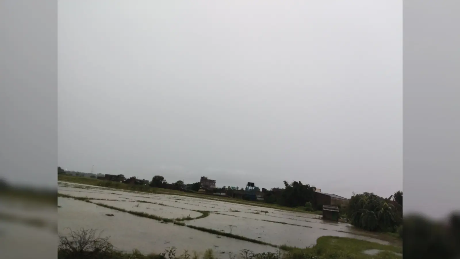 भारी बारिश की वजह से खेतों में जलजमाव का हाल | Prabhat Khabar Network भारी बारिश की वजह से खेतों में जलजमाव का हाल | Prabhat Khabar Network