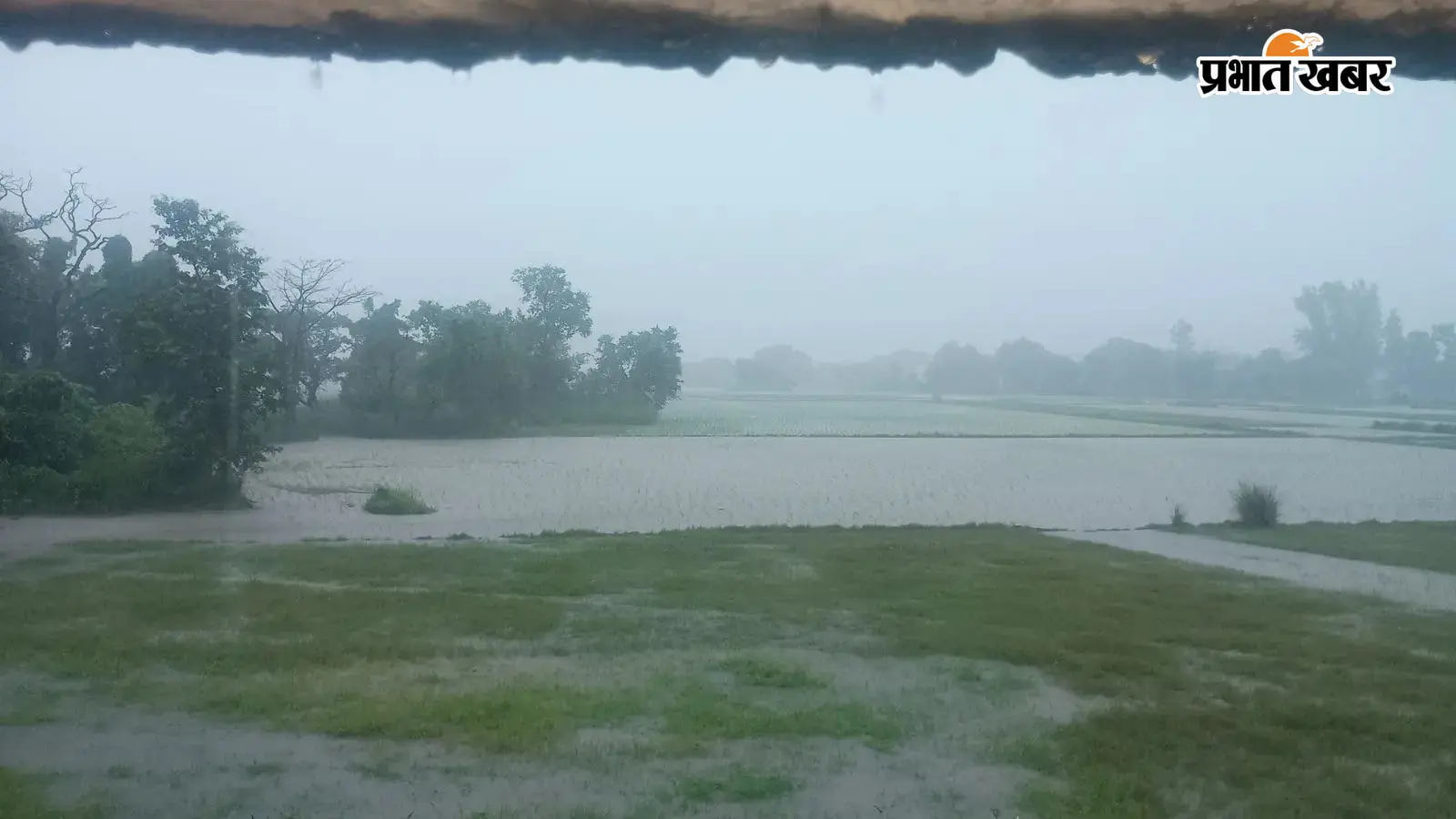 सीवान में आधी रात से झमाझम बरसे बदरा, 20 मिमी से अधिक हुई बारिश, धान की रोपनी का आंकड़ा 50 फीसदी के पार सीवान में आधी रात से झमाझम बरसे बदरा, 20 मिमी से अधिक हुई बारिश, धान की रोपनी का आंकड़ा 50 फीसदी के पार