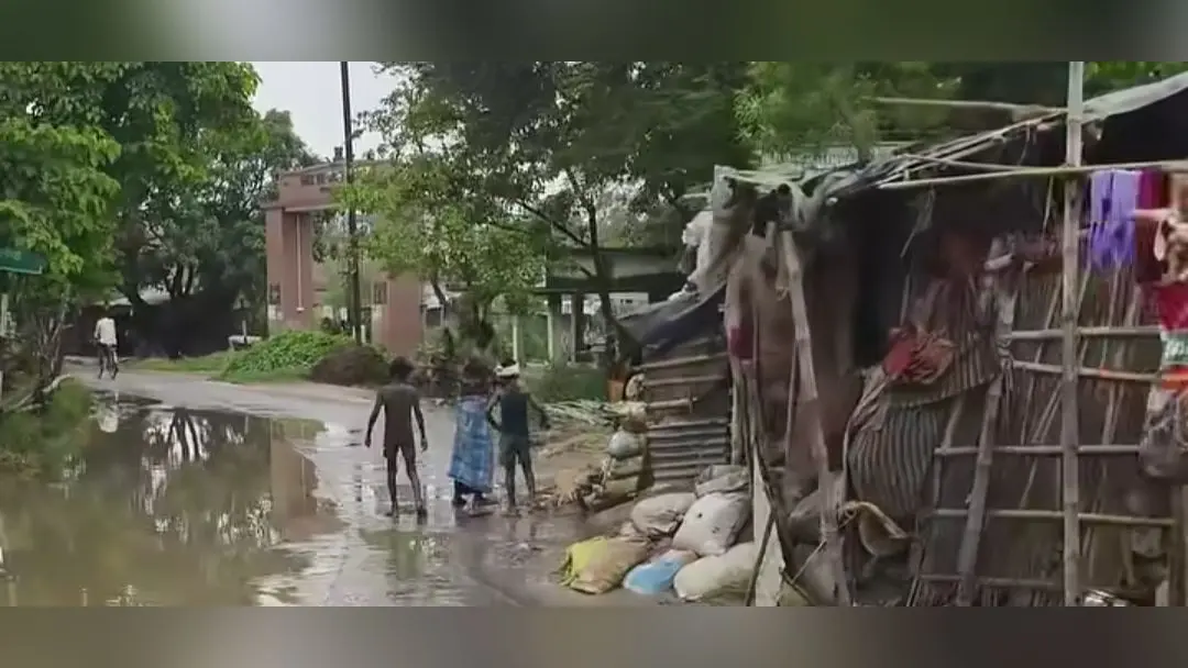गोपालपुर में प्रखंड मुख्यालय के निकट सडक पर जलजमाव | Prabhat Khabar Network गोपालपुर में प्रखंड मुख्यालय के निकट सडक पर जलजमाव | Prabhat Khabar Network