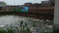 दो दिनों से झमाझम बारिश ने बदला जमुई का मौसम, किसानों के चेहरे खिले, जलजमाव से जनजीवन बेहाल