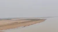 औरंगाबाद जिले के दाउदनगर में बारिश से किसानों को राहत, धान की रोपनी ने पकड़ी रफ्तार; बाढ़ को लेकर प्रशासन अलर्ट