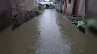 लगातार बारिश से परबत्ता के कई गांव की गलियां बनीं तालाब, लोगों की बढ़ी परेशानी