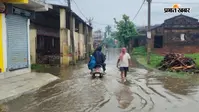 बेगूसराय : बलिया में लगातार हो रही मूसलाधार बारिश, भगतपुर मुख्य सड़क पर 800 मीटर तक भरा पानी, आवागमन प्रभावित