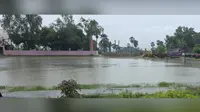 गया जी : गुरुआ प्लस टू विद्यालय का खेल मैदान बना तालाब, जलजमाव से खिलाड़ियों का अभ्यास बाधित