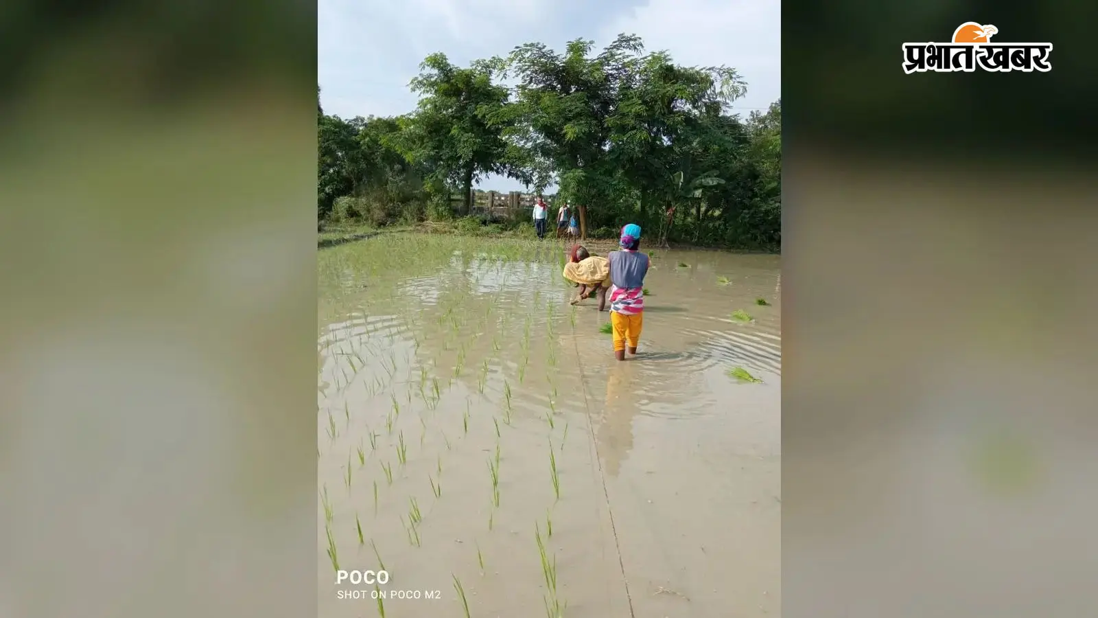 मॉनसून एक्सप्रेस ने पकड़ी रफ्तार,किसानो में जगी बहेतर खेती की उम्मीद मॉनसून एक्सप्रेस ने पकड़ी रफ्तार,किसानो में जगी बहेतर खेती की उम्मीद